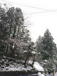 三楽園　雪