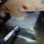シロアリ駆除作業！　２０２５年６月２３日　富山県射水市
