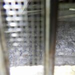 小動物調査！　２０２５年１０月２日　富山県富山市