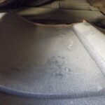 ハクビシン調査‼　２０２５年１２月１２日　富山県射水市