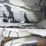 コウモリ調査！　２０２５年１２月１８日　富山県高岡市