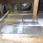 ハクビシン侵入後の天井裏清掃作業！　2025年12月22日　富山県砺波市