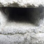 ネズミ調査！　２０２６年１月１７日　富山県高岡市