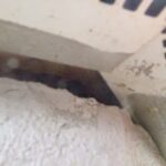 ネズミ侵入口封鎖作業！　２０２６年１月２０日　富山県中新川郡上市町