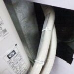 ハクビシン調査！　2026年1月26日　富山県砺波市