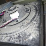 ハクビシン調査！　２０２６年２月１０日　富山県高岡市