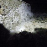 基礎ひび割れ調査！　２０２６年３月２７日　富山県高岡市