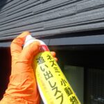 コウモリ対策作業！　２０２６年７月２５日　富山県富山市