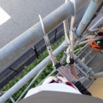 足場使用のコウモリ対策作業！　2026年9月18日　富山県富山市