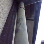 ハクビシン調査！　２０２６年９月１５日　富山県射水市