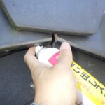 コウモリ追い出し・侵入口封鎖作業！　2026年10月17日　富山県富山市
